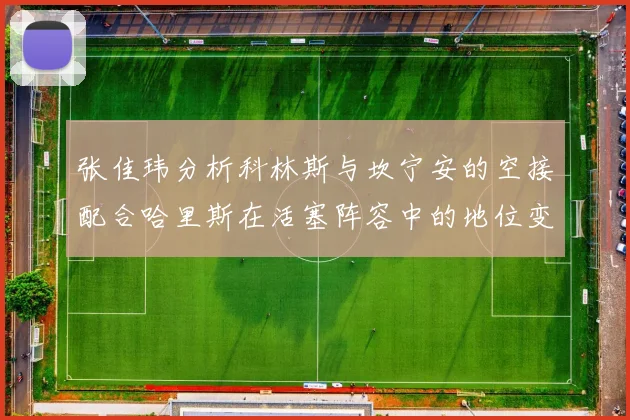 张佳玮分析科林斯与坎宁安的空接配合哈里斯在活塞阵容中的地位变化
